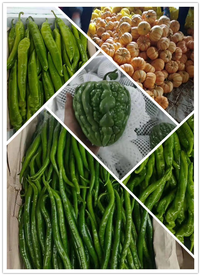 优发国际·随优而动一触即发