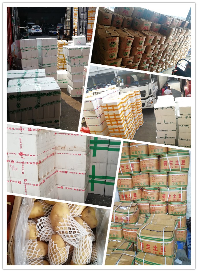 优发国际·随优而动一触即发