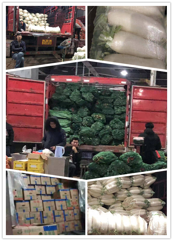 优发国际·随优而动一触即发