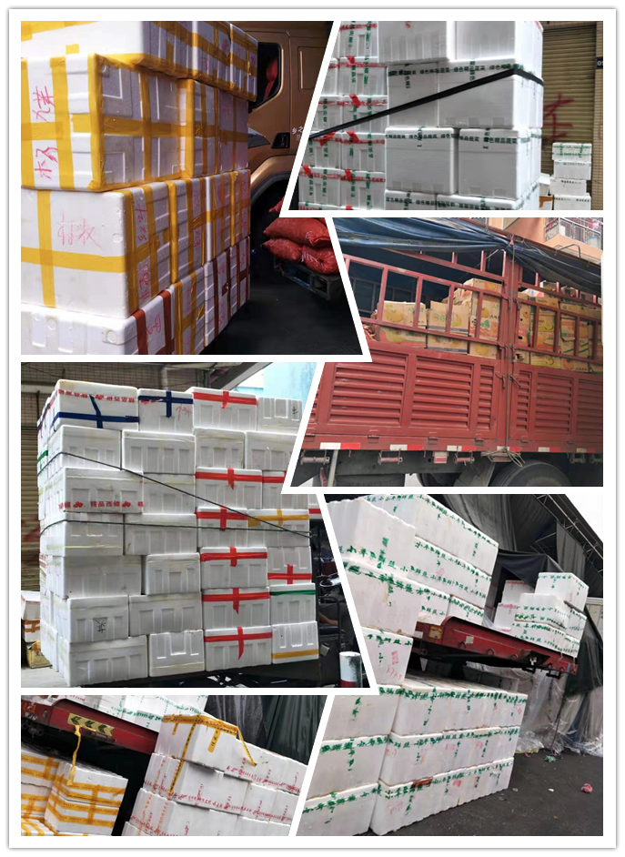 优发国际·随优而动一触即发