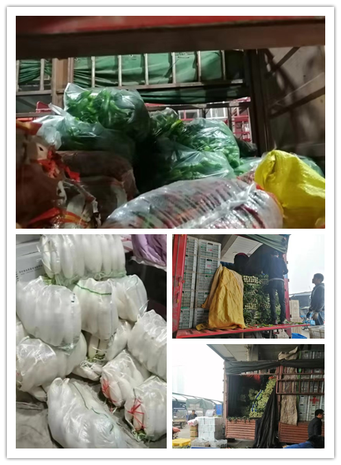 优发国际·随优而动一触即发