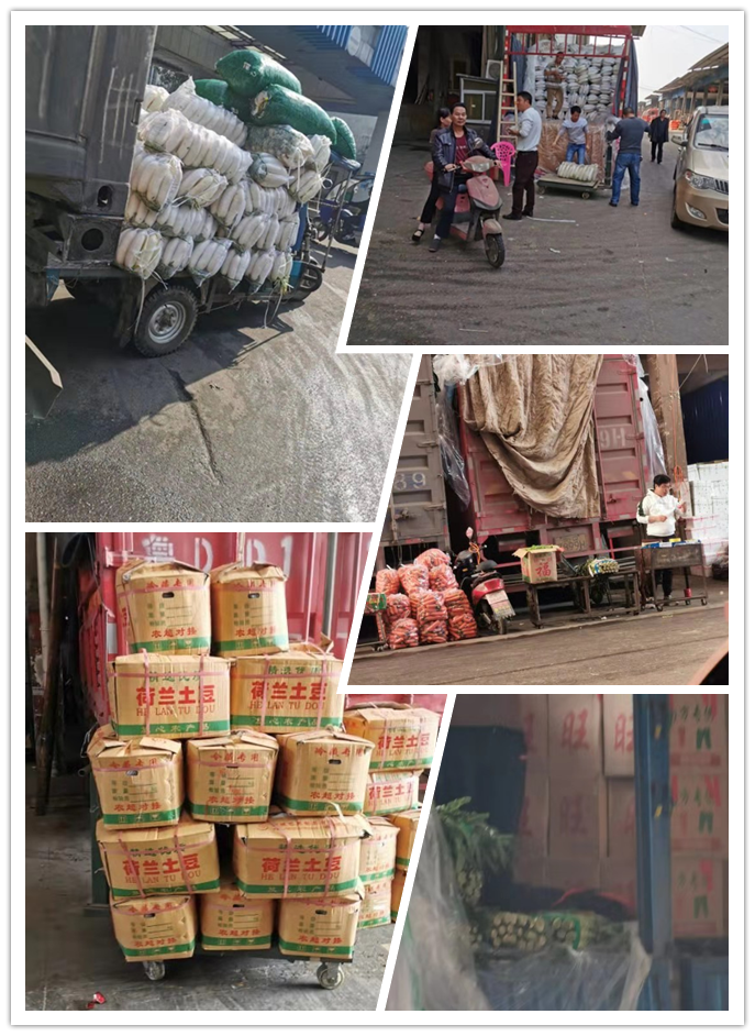 优发国际·随优而动一触即发