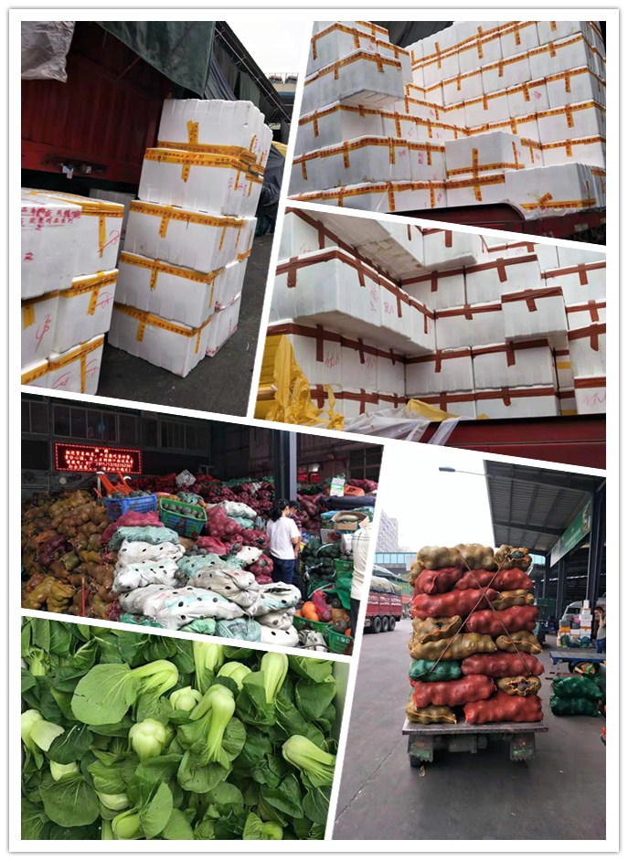 优发国际·随优而动一触即发