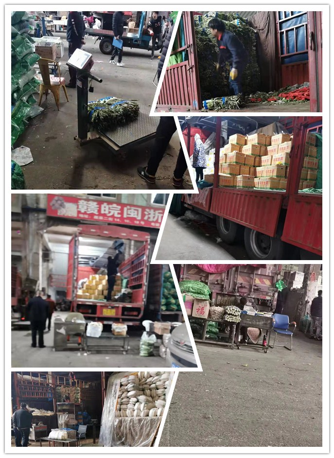 优发国际·随优而动一触即发