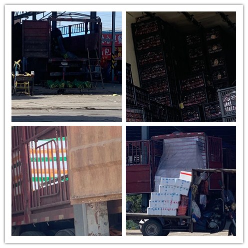 优发国际·随优而动一触即发