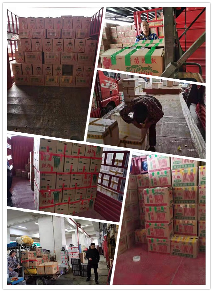 优发国际·随优而动一触即发