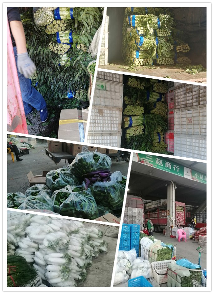 优发国际·随优而动一触即发