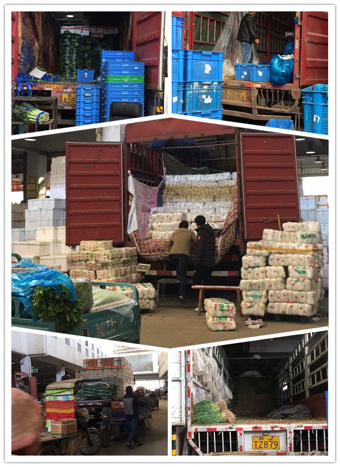 优发国际·随优而动一触即发