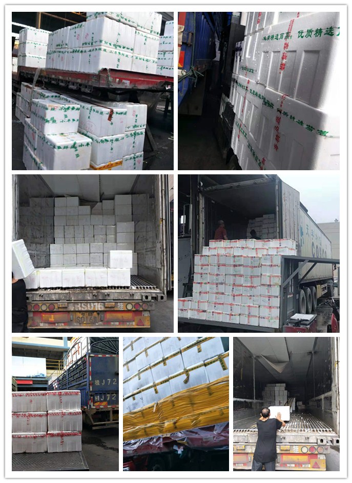 优发国际·随优而动一触即发