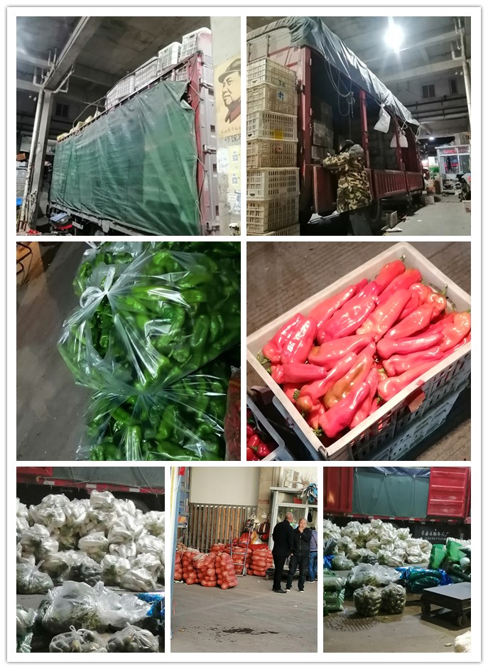 优发国际·随优而动一触即发