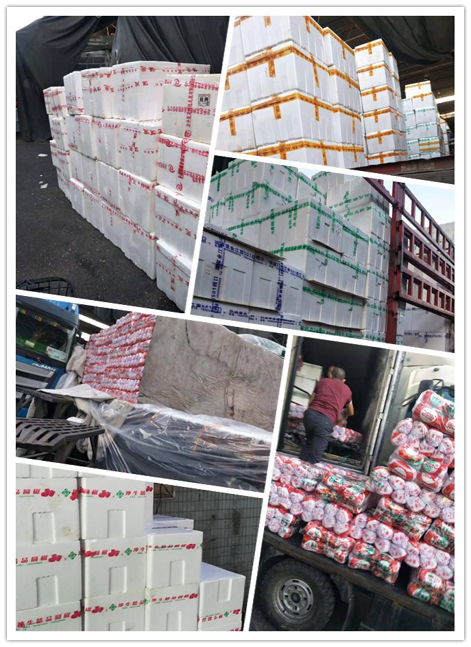 优发国际·随优而动一触即发