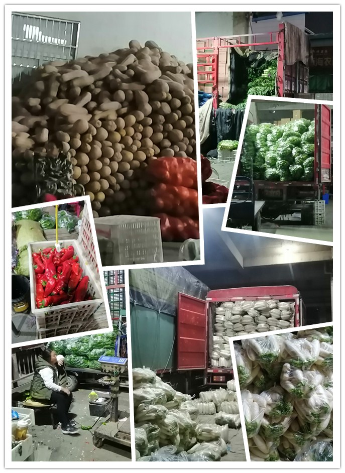 优发国际·随优而动一触即发