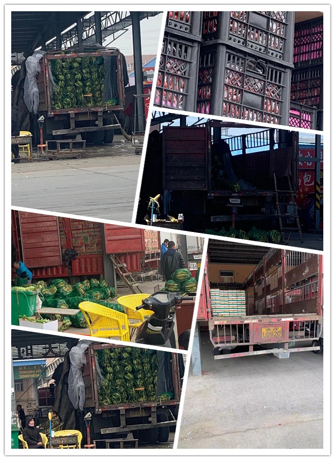 优发国际·随优而动一触即发