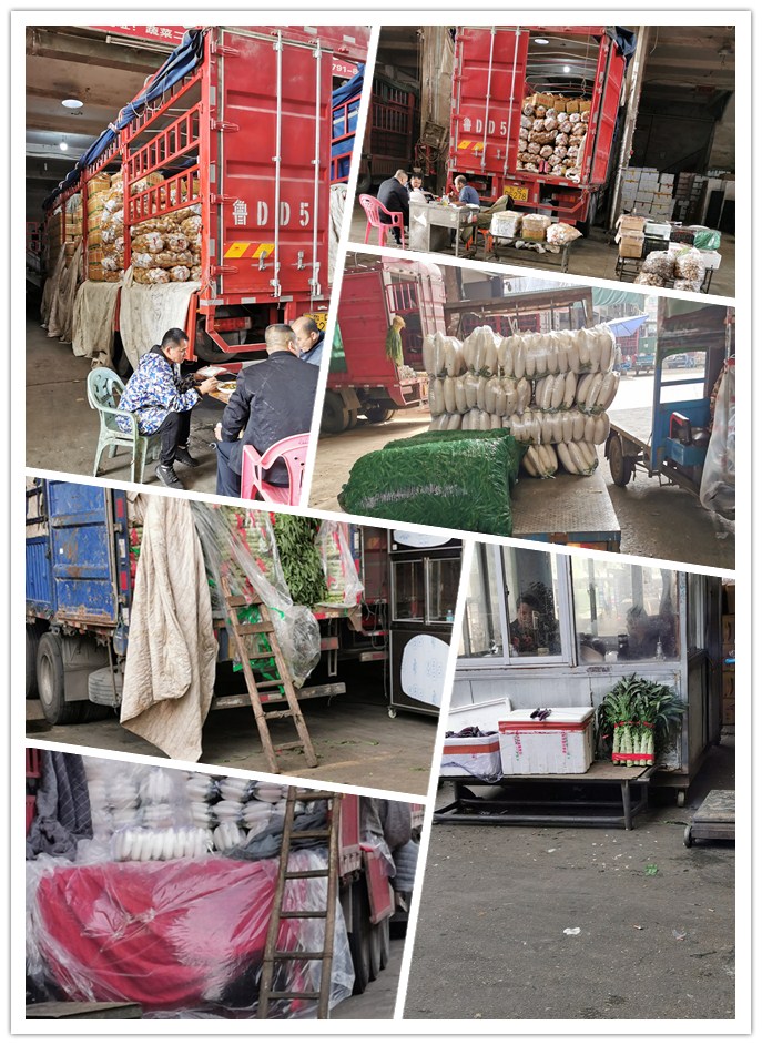 优发国际·随优而动一触即发