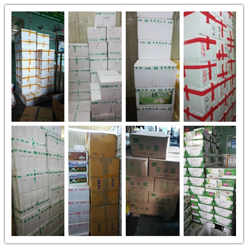 优发国际·随优而动一触即发