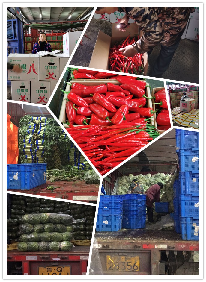 优发国际·随优而动一触即发