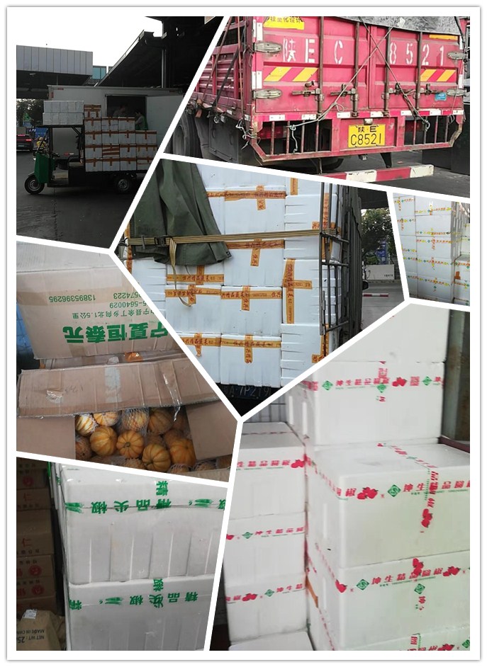 优发国际·随优而动一触即发