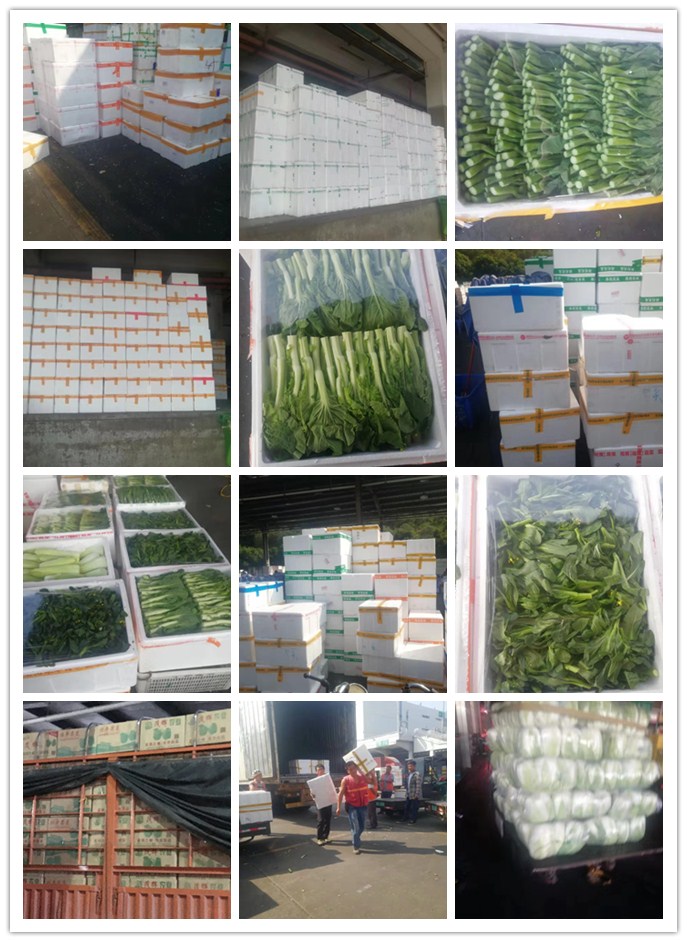 优发国际·随优而动一触即发