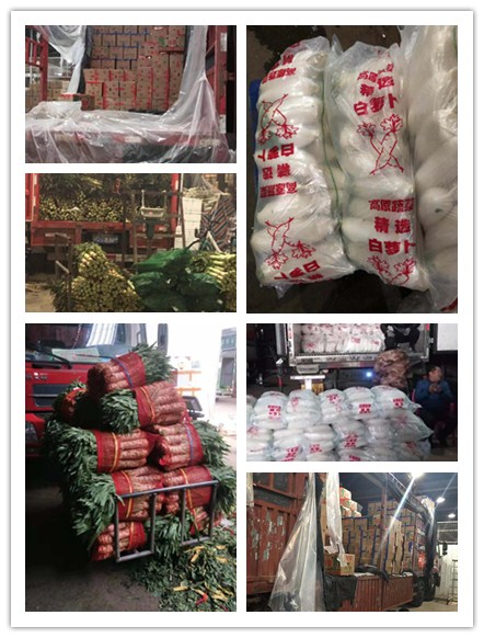 优发国际·随优而动一触即发