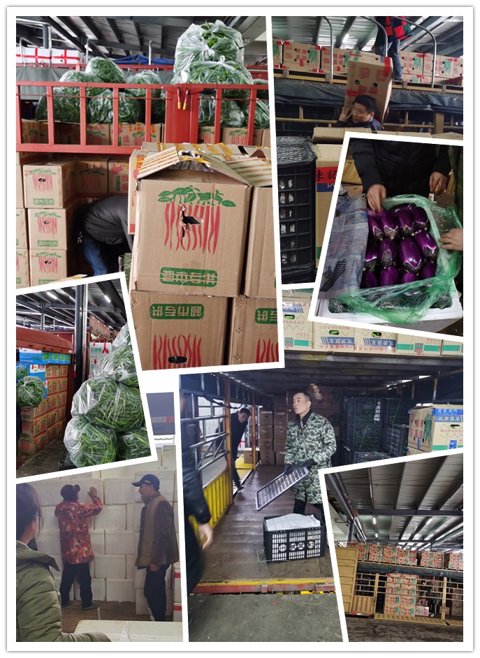 优发国际·随优而动一触即发