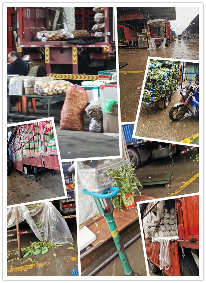 优发国际·随优而动一触即发