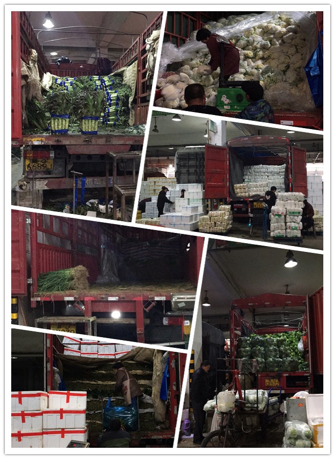 优发国际·随优而动一触即发