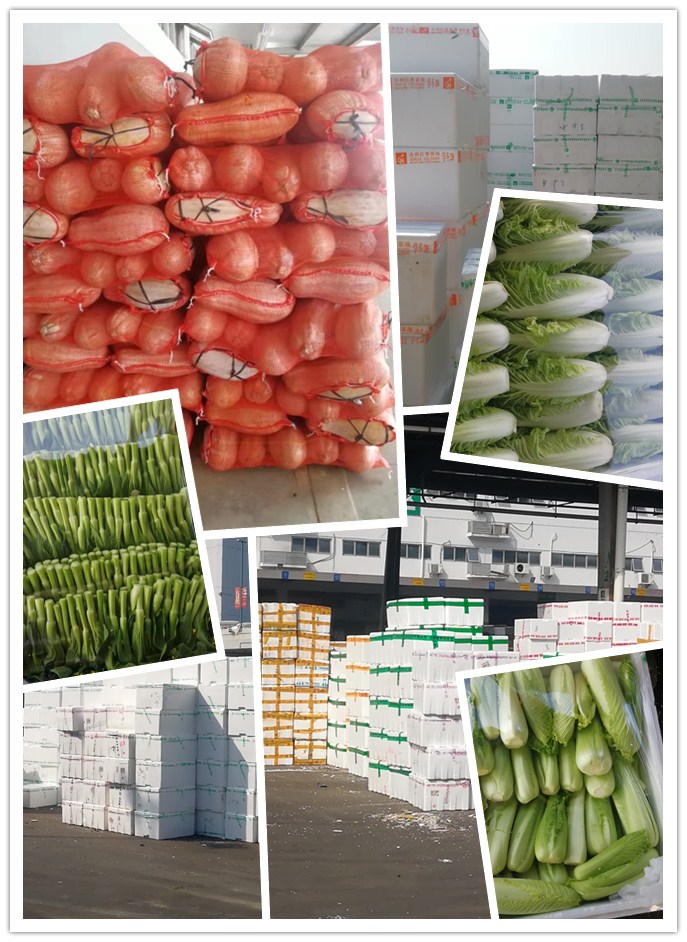 优发国际·随优而动一触即发