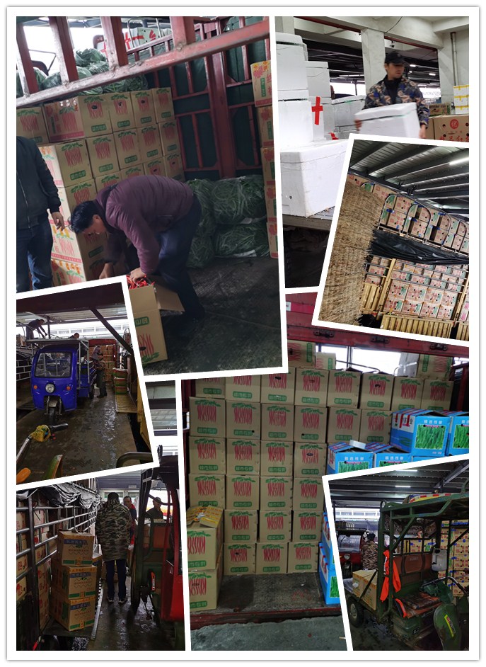 优发国际·随优而动一触即发