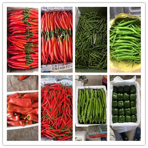 优发国际·随优而动一触即发