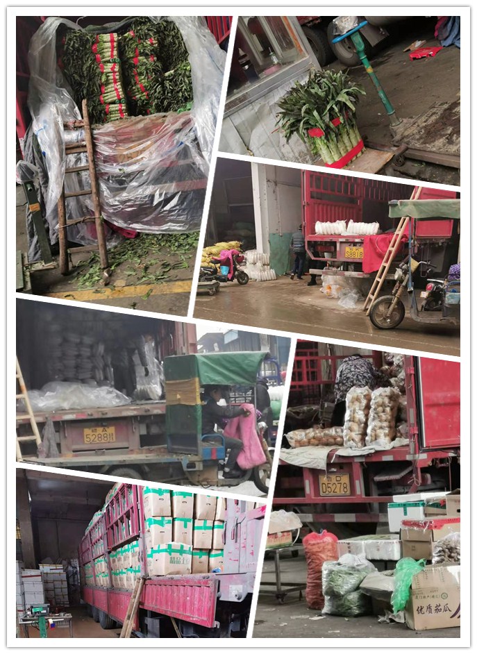 优发国际·随优而动一触即发