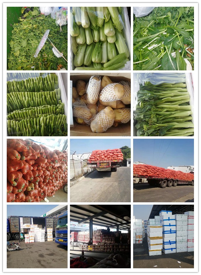 优发国际·随优而动一触即发