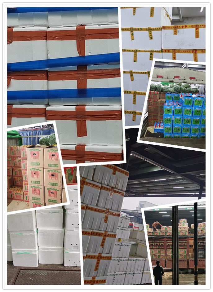 优发国际·随优而动一触即发