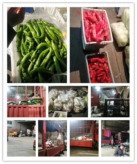 优发国际·随优而动一触即发