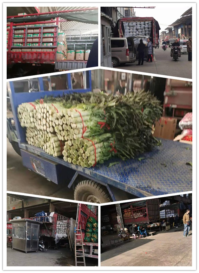 优发国际·随优而动一触即发