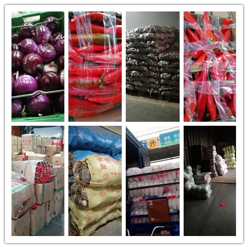 优发国际·随优而动一触即发