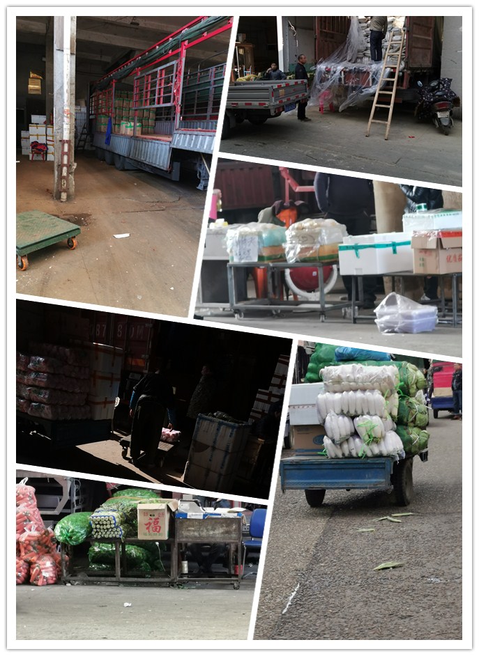 优发国际·随优而动一触即发