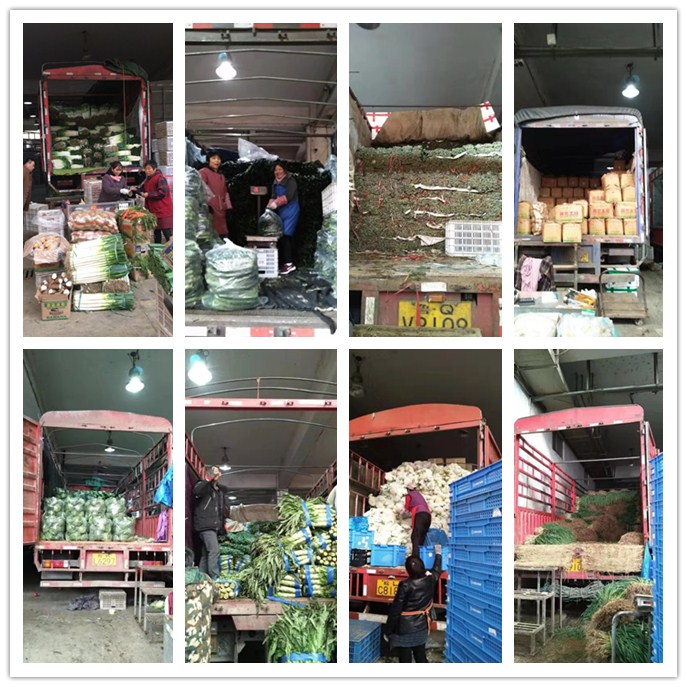 优发国际·随优而动一触即发