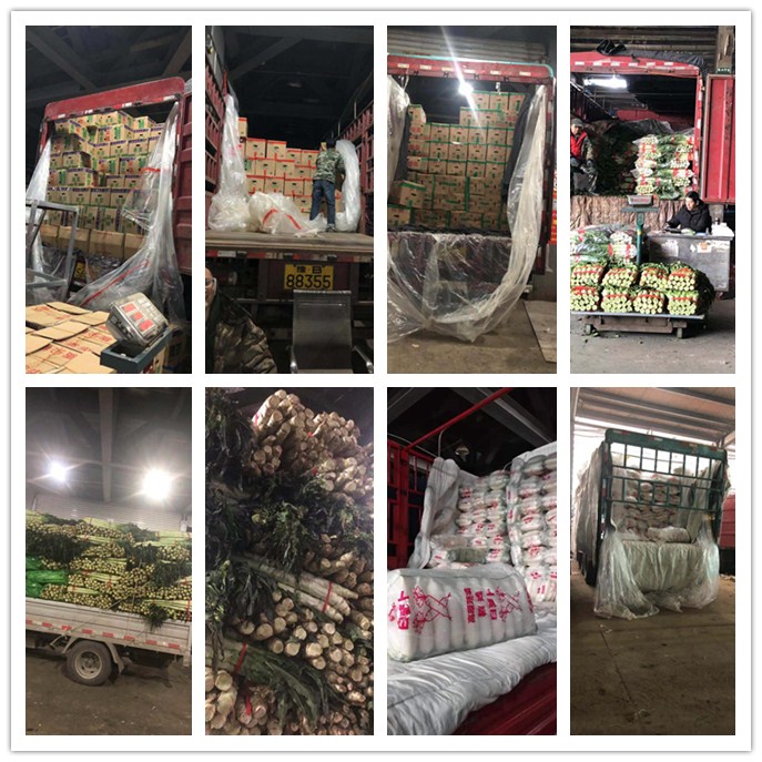 优发国际·随优而动一触即发