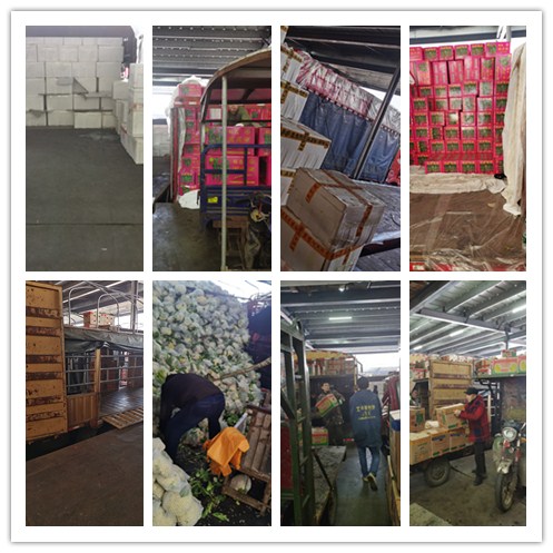 优发国际·随优而动一触即发