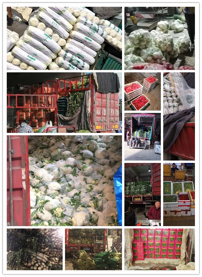 优发国际·随优而动一触即发