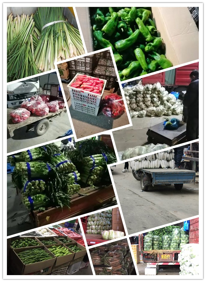 优发国际·随优而动一触即发