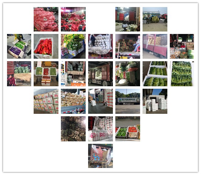 优发国际·随优而动一触即发