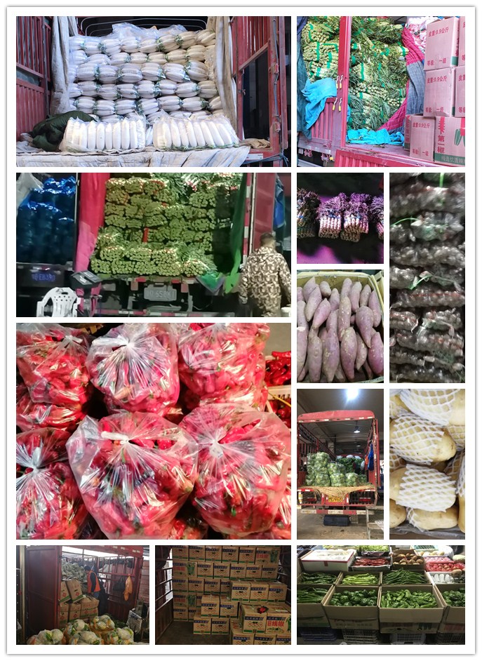 优发国际·随优而动一触即发