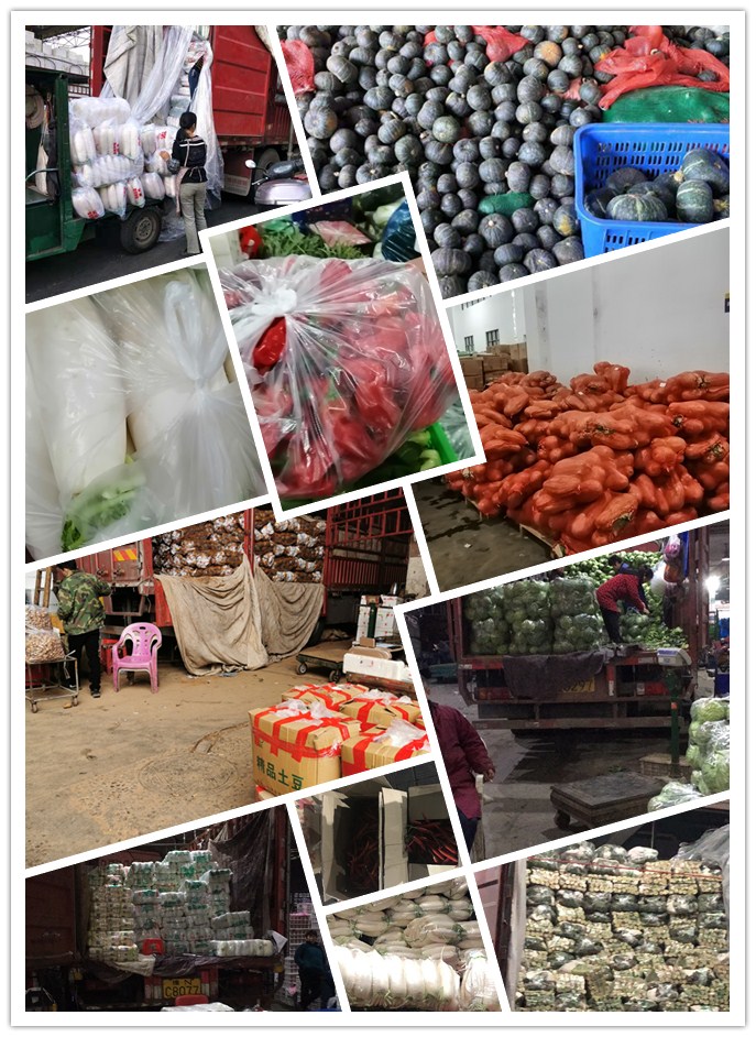 优发国际·随优而动一触即发