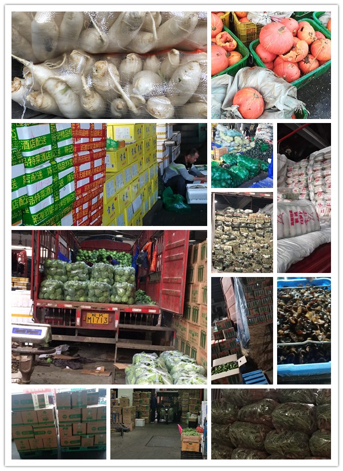 优发国际·随优而动一触即发