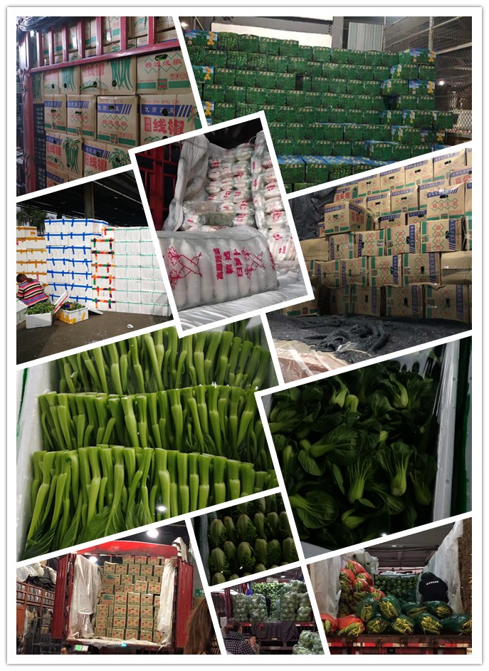 优发国际·随优而动一触即发