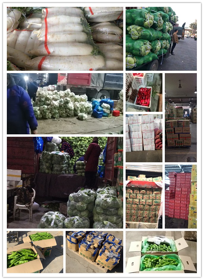 优发国际·随优而动一触即发