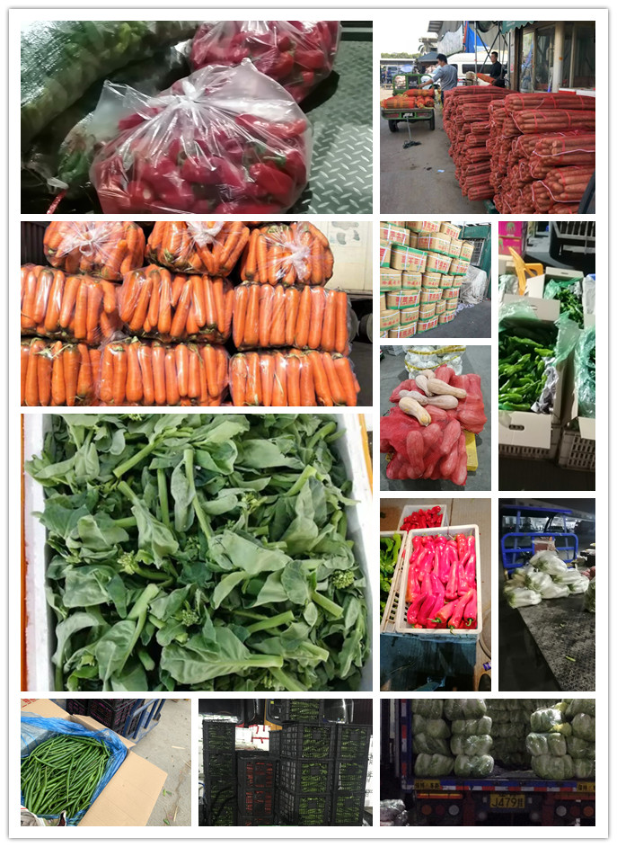 优发国际·随优而动一触即发