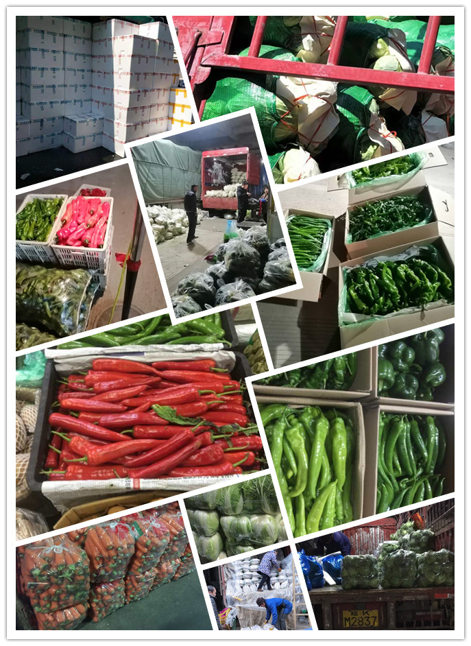 优发国际·随优而动一触即发