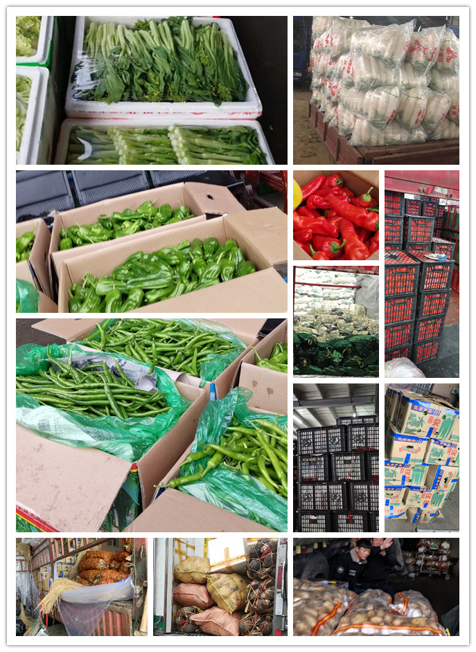 优发国际·随优而动一触即发